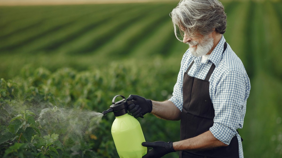 antiparassitario piante ortiche