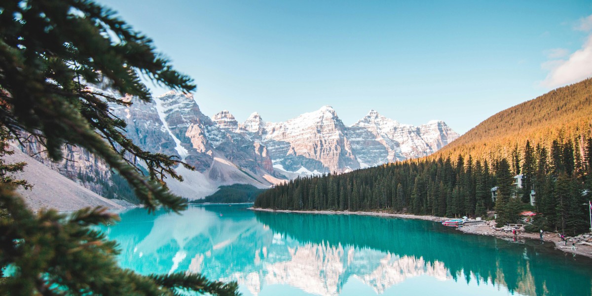 Dove è stato girato the last of us 