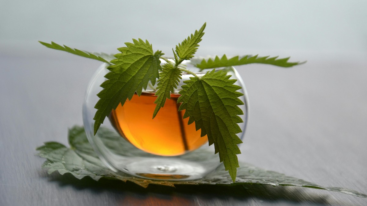 antiparassitario piante ortiche