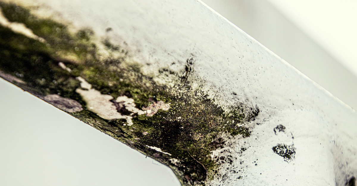 Muffa sul termosifone