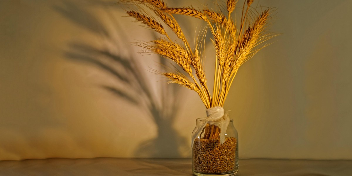 come decorare il grano per pasqua 