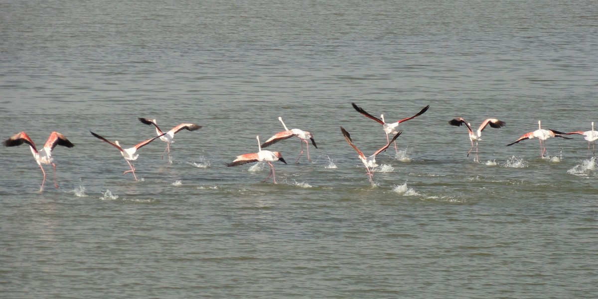 ciclovia degli angeli