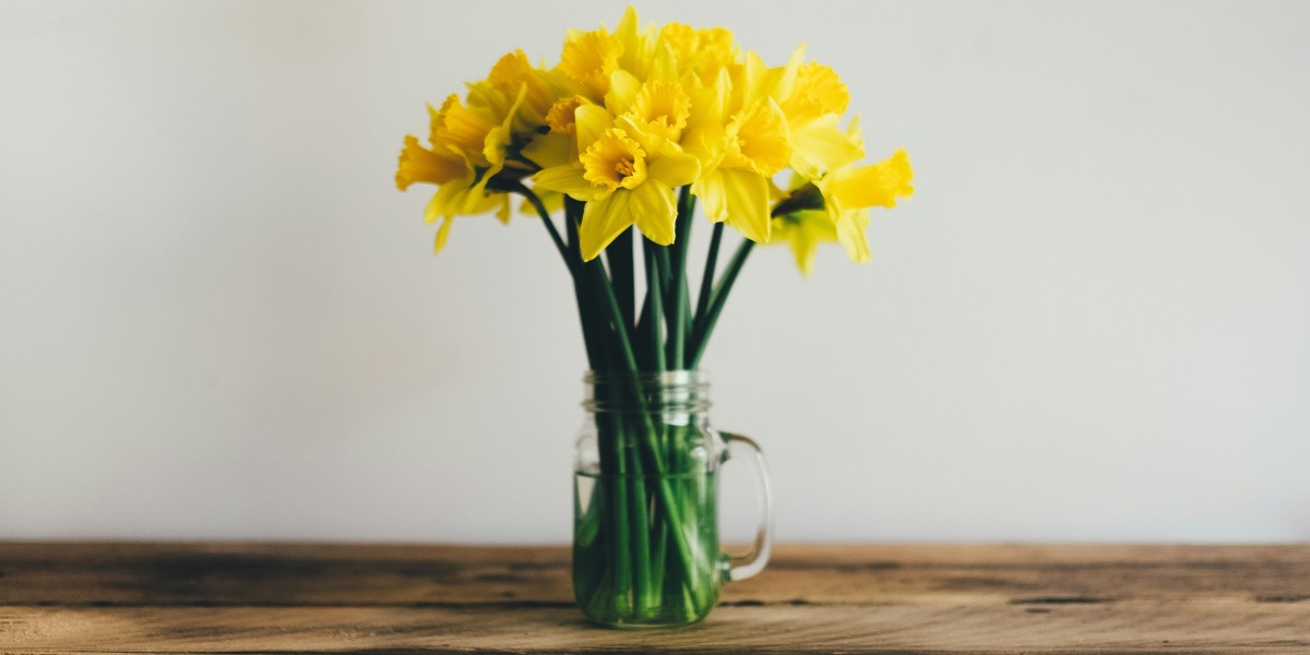 pulizie di primavera