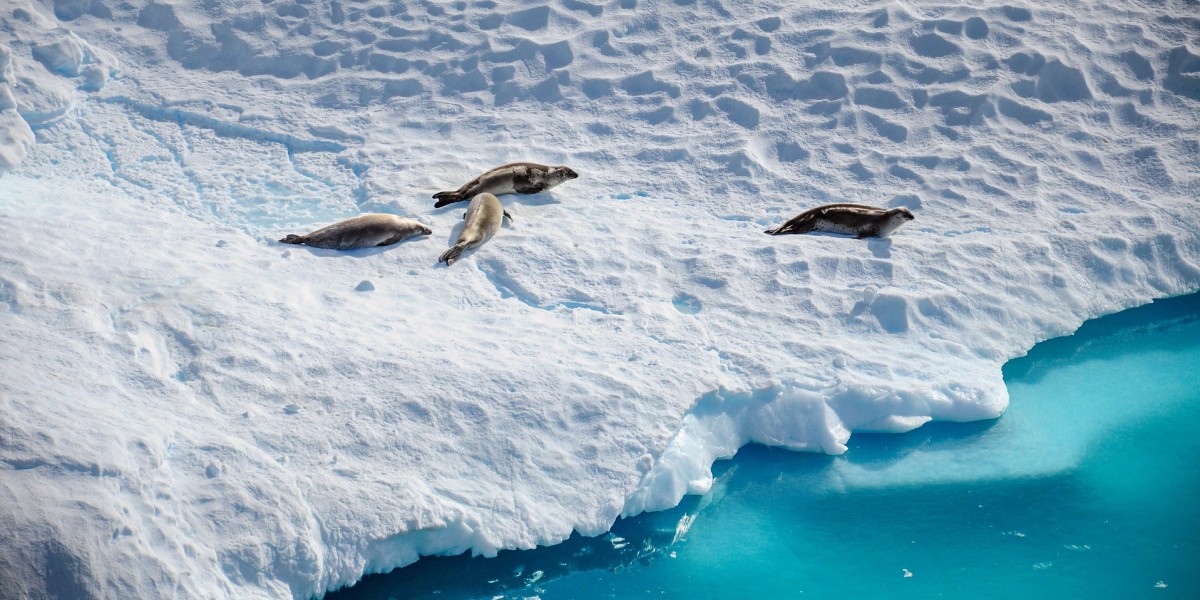 dove si trova l'antartide
