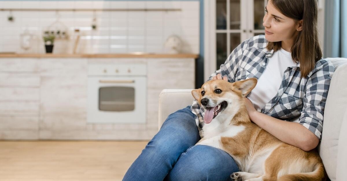 cane e donna sul divano