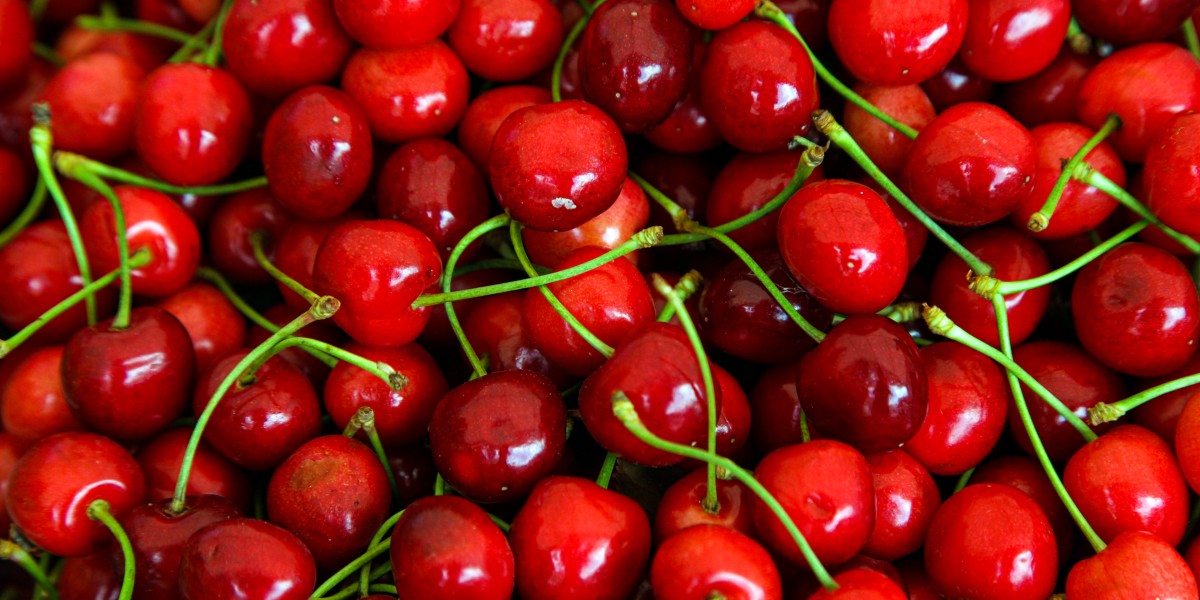 Sagra della Ciliegia Turi