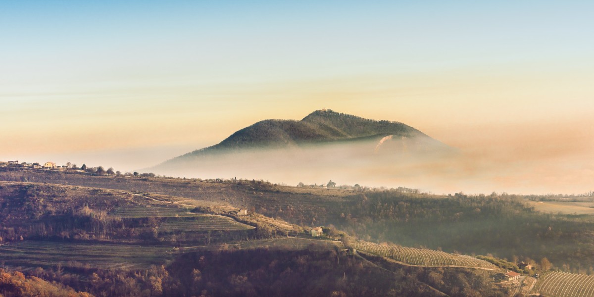 baone festa dei bisi 2025