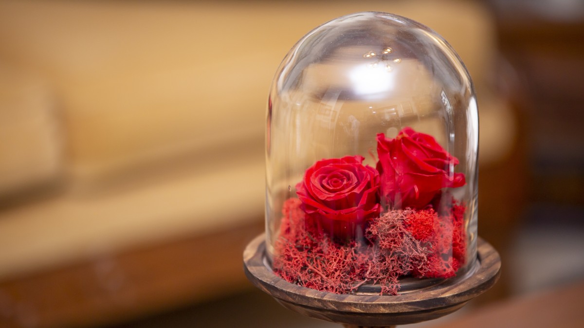 quanto dura una rosa