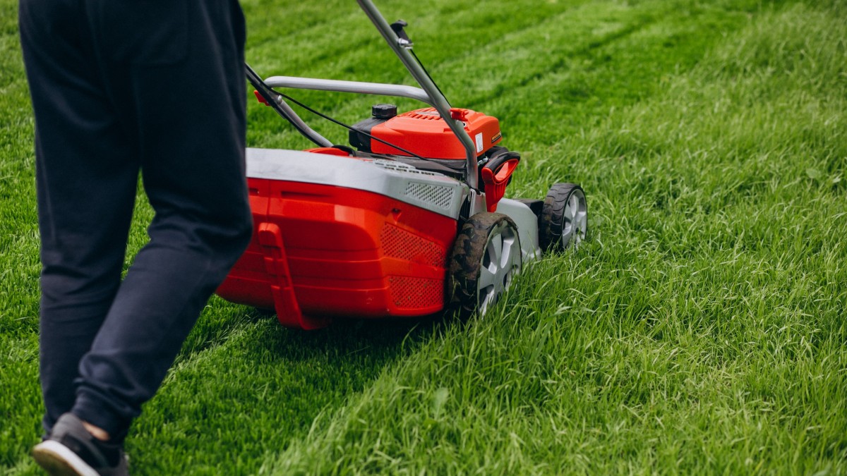 fungo del prato rimedi naturali