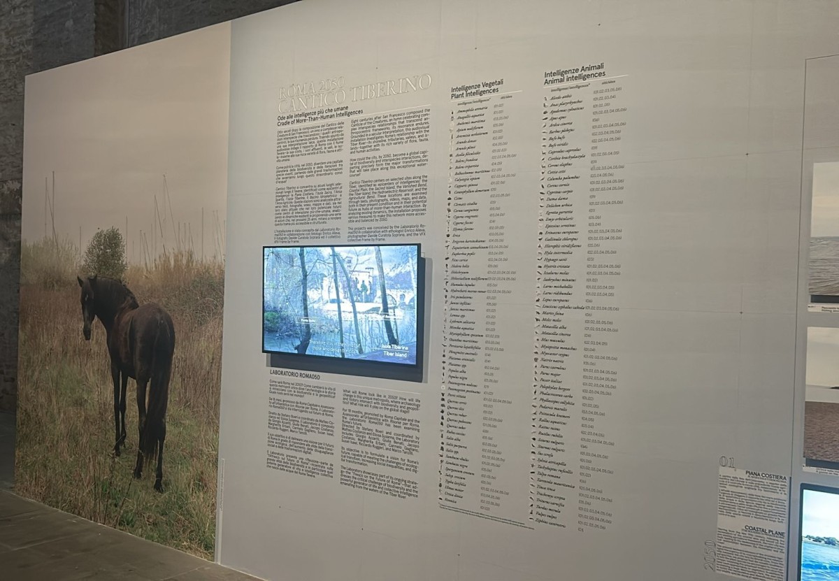 Biennale Arcihtettura