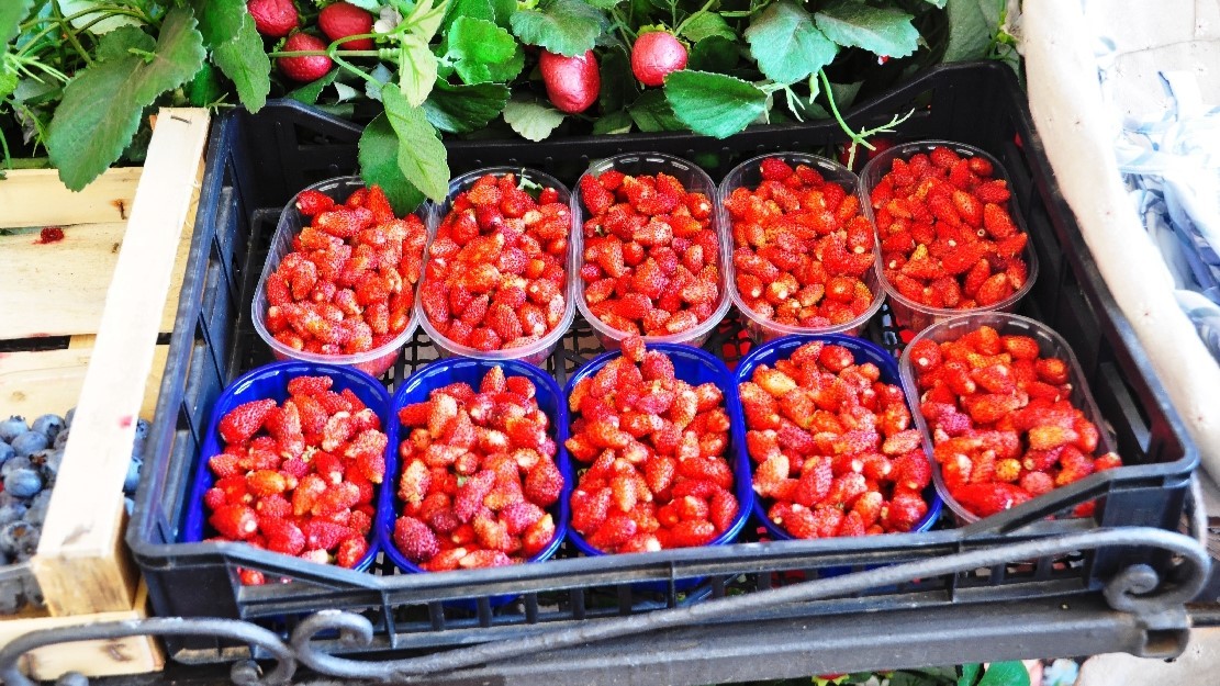 sagra delle fragole di nemi