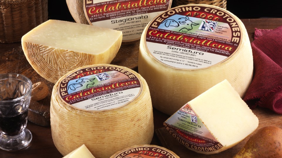 formaggi tipici calabresi