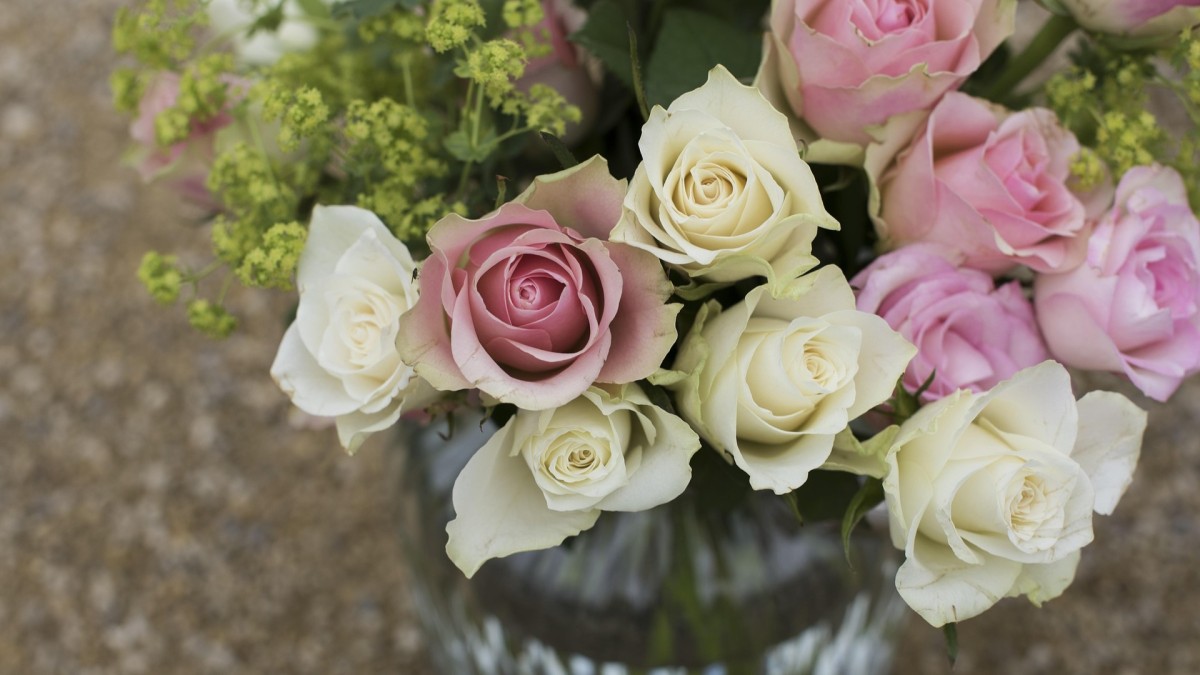 quanto dura una rosa