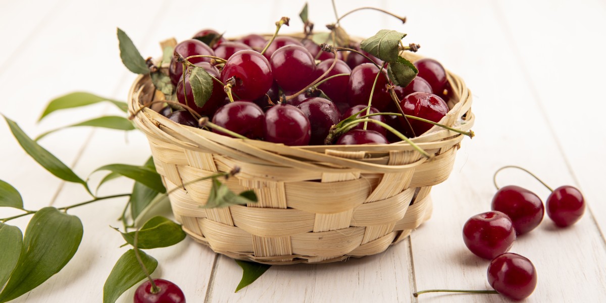 Sagra della Ciliegia Turi