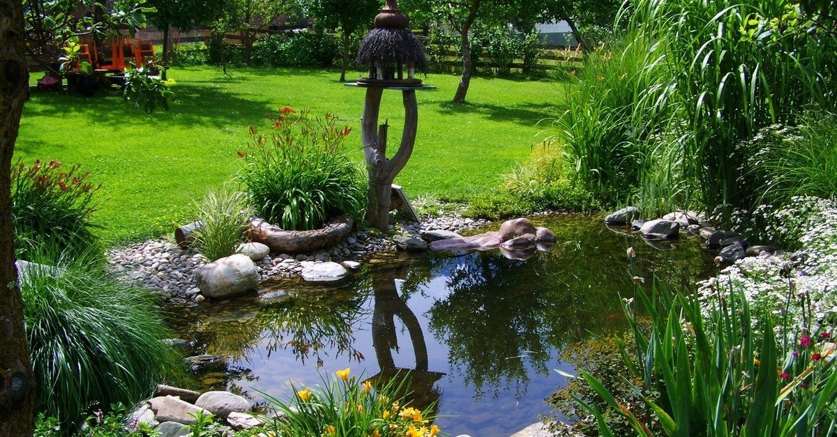 Uno stagno con diversi elementi decorativi fondamentali