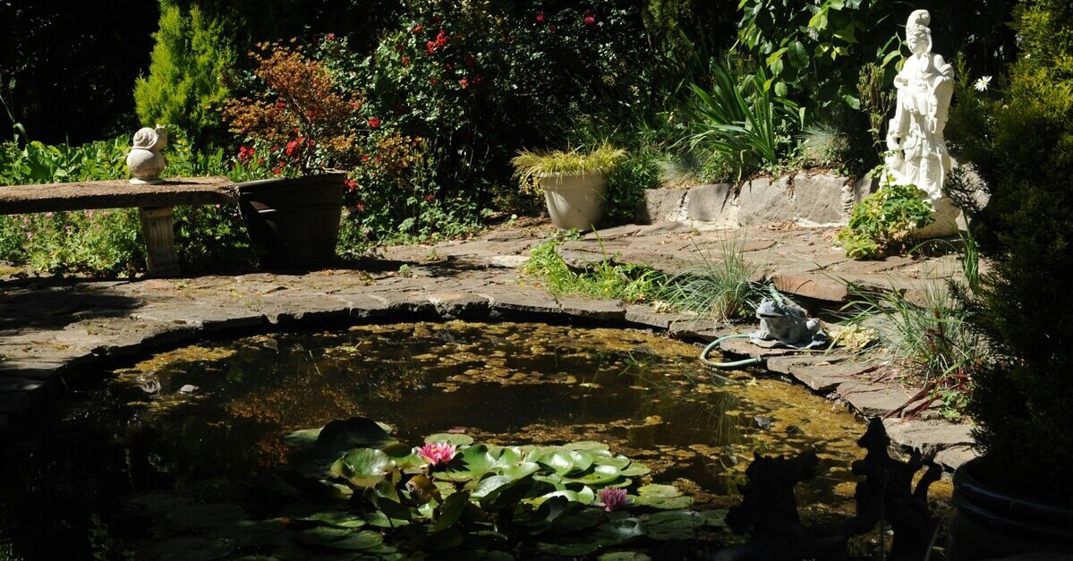 Uno stagno dalla forma tonda