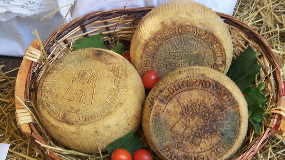 formaggi tipici lucani