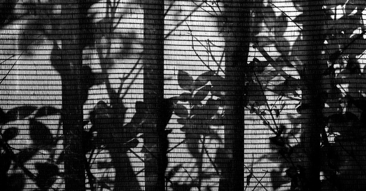 La sottile rete di una zanzariera plissettata