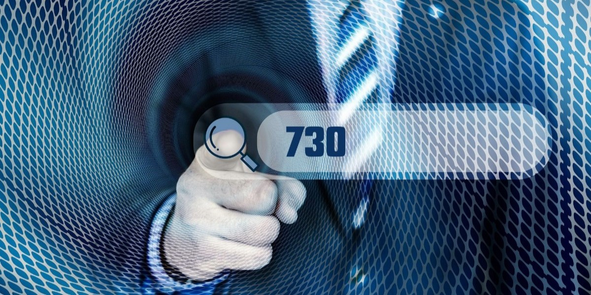 scritta 730