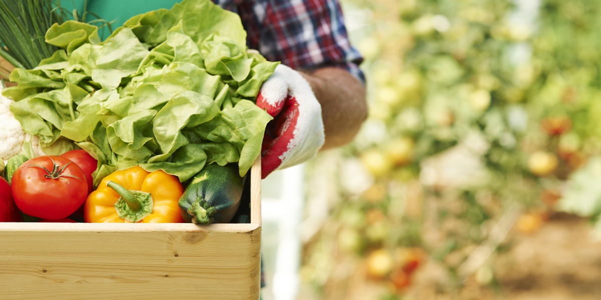 Bonus agricoltura 2025 Primo piano cassetta con verdure agricoltura