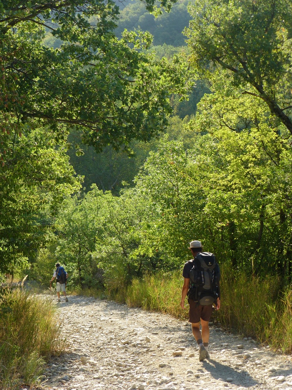 Bosco di San Francesco, Assisi