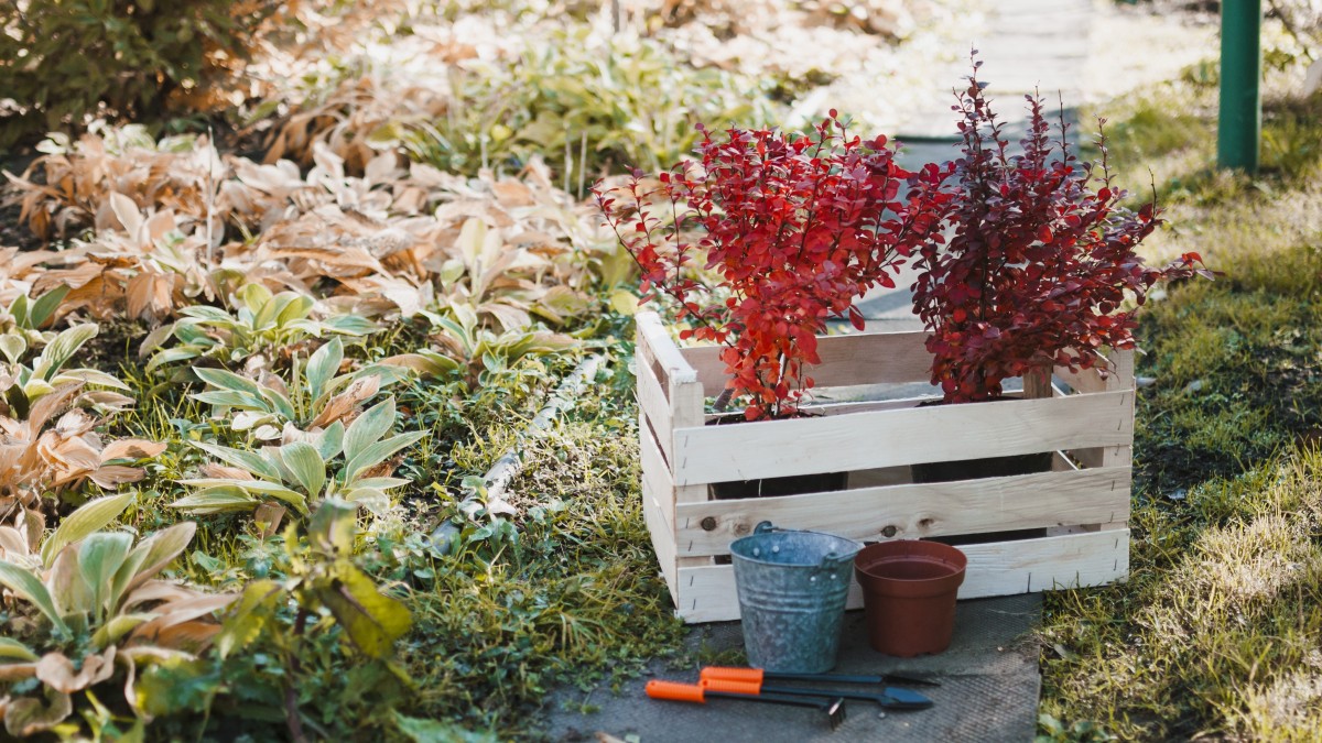 giardino rustico idee