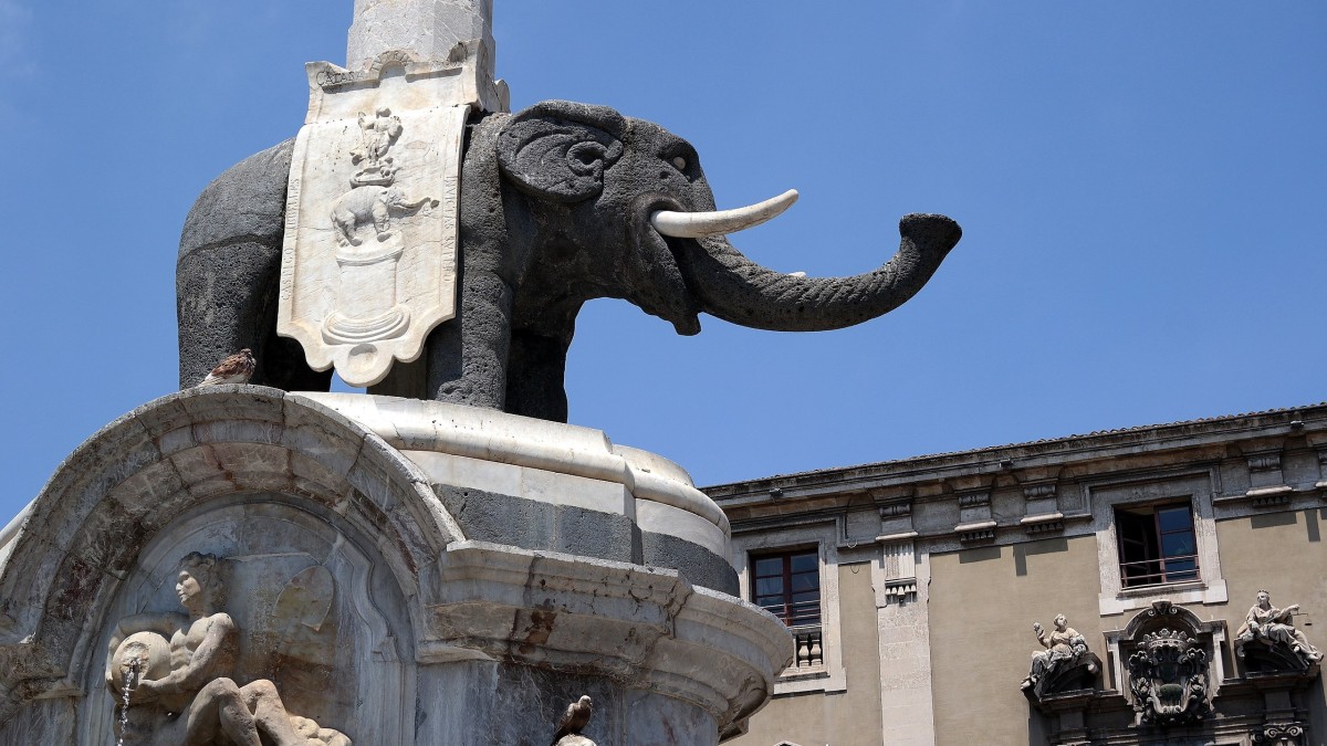 elefante catania
