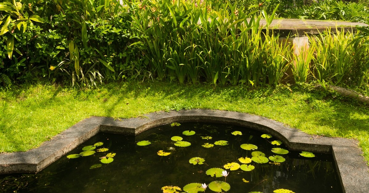 giardino con stagno