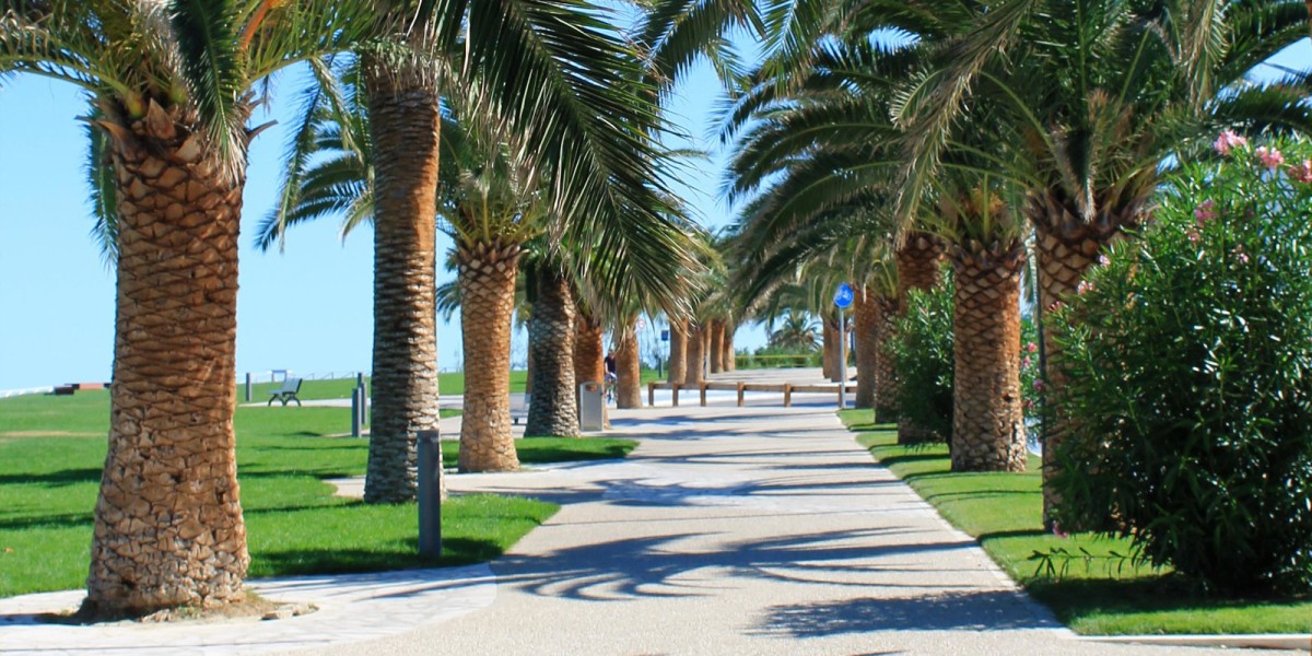 bandiere blu marche