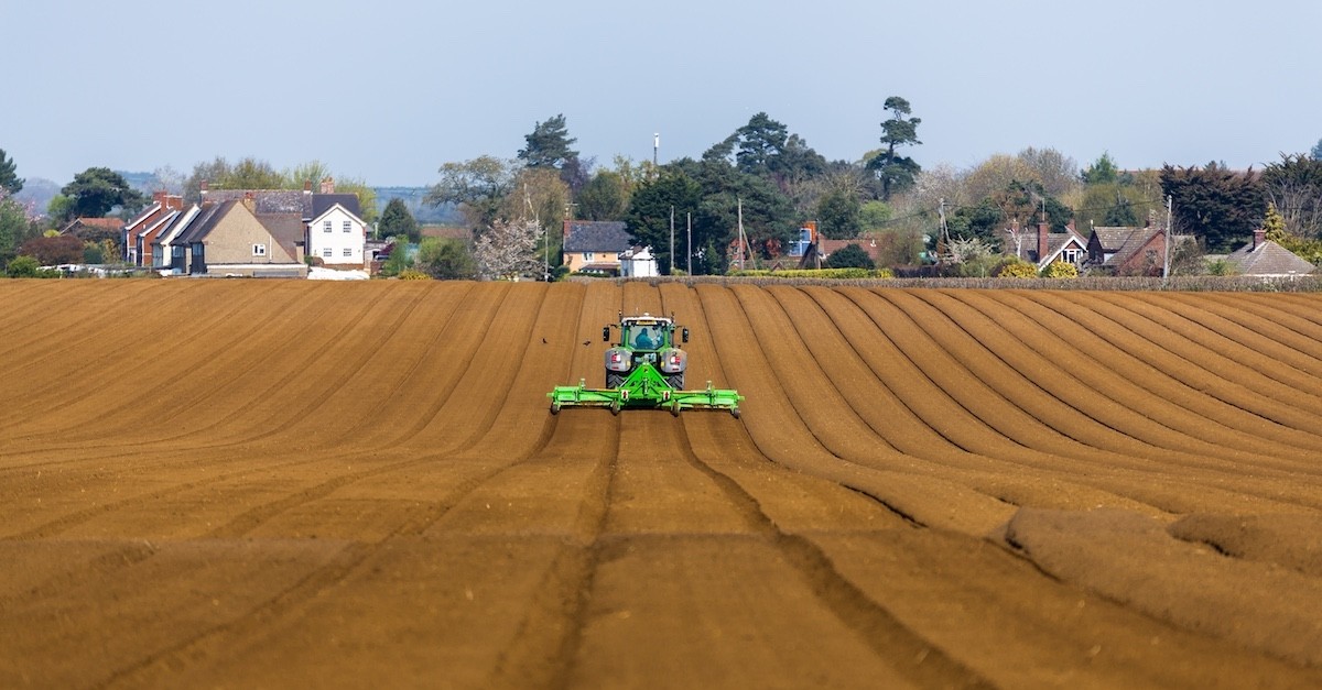 Il lavoro su un campo preso in affitto Mietitrebbia al lavoro