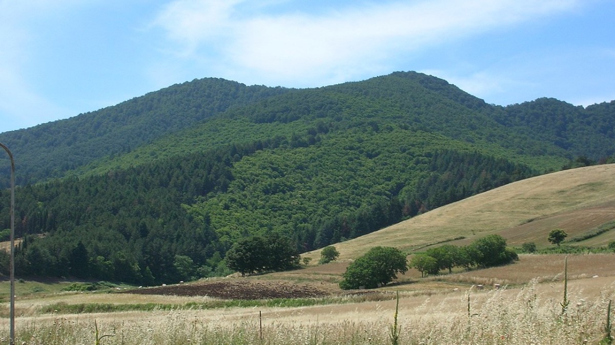 migliori vini lucani