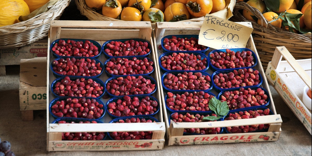 Family-Friendly Festivals in Italy