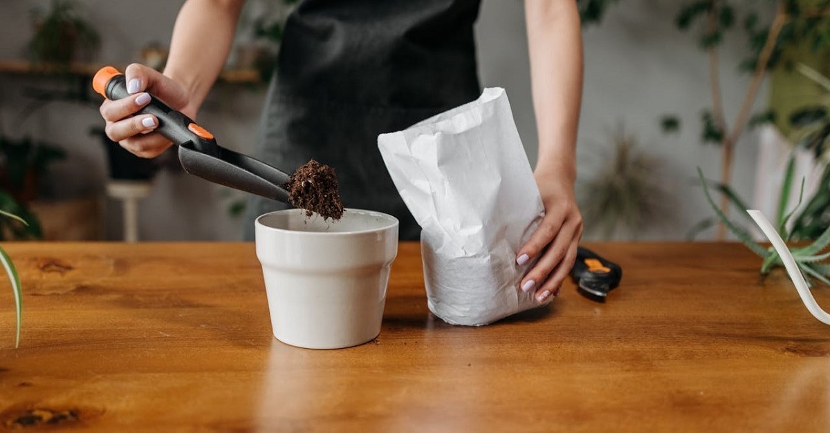 Nuovo terriccio aggiunto in un vaso Nuovo terriccio aggiunto in un vaso
