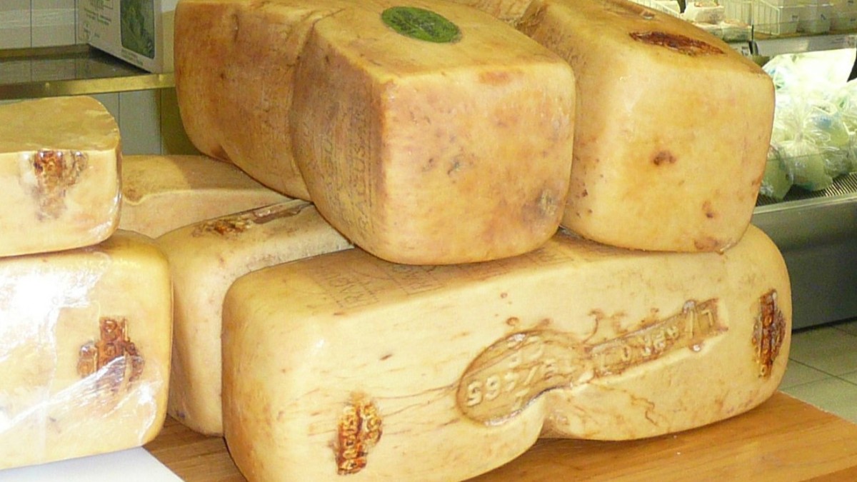 formaggi tipici siciliani