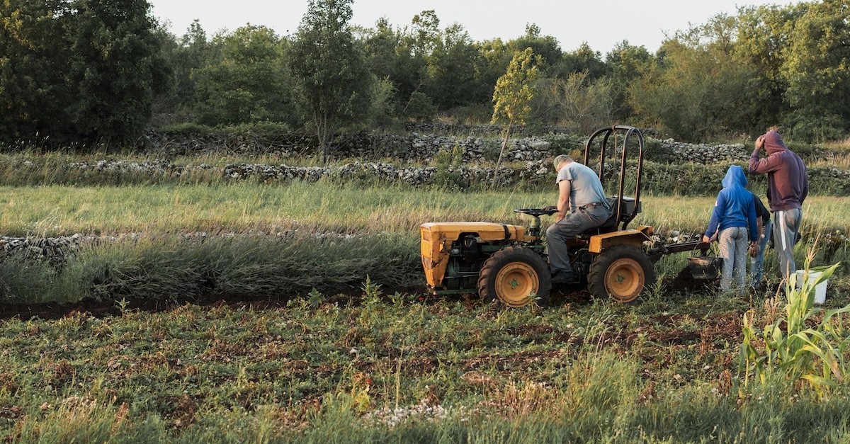 sfratto agrario sfratto agrario