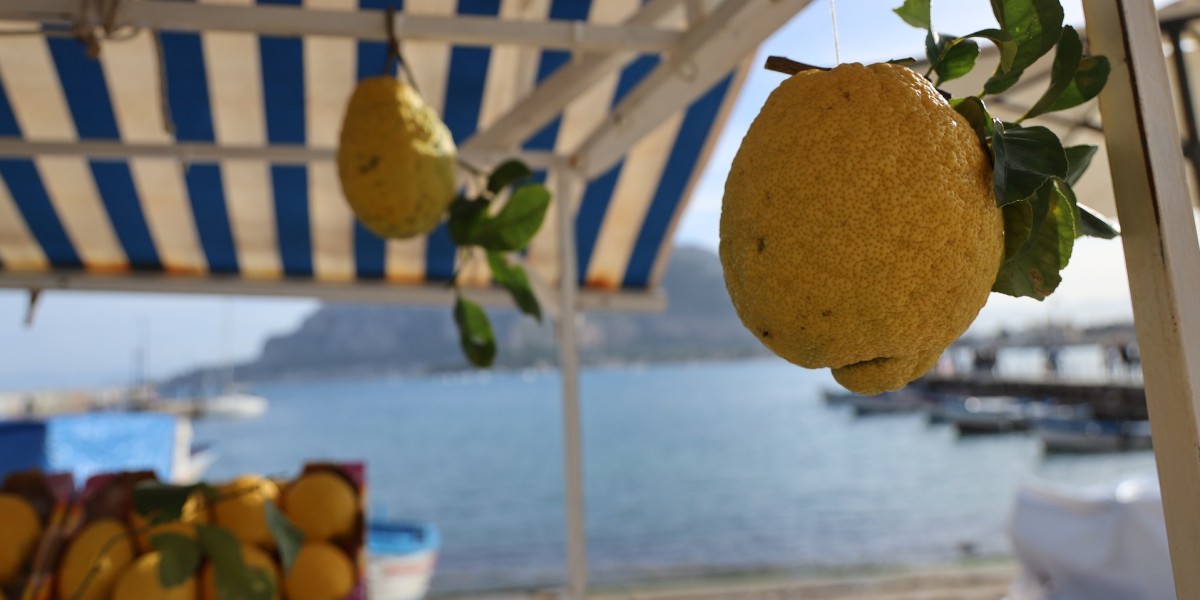Living in Palermo