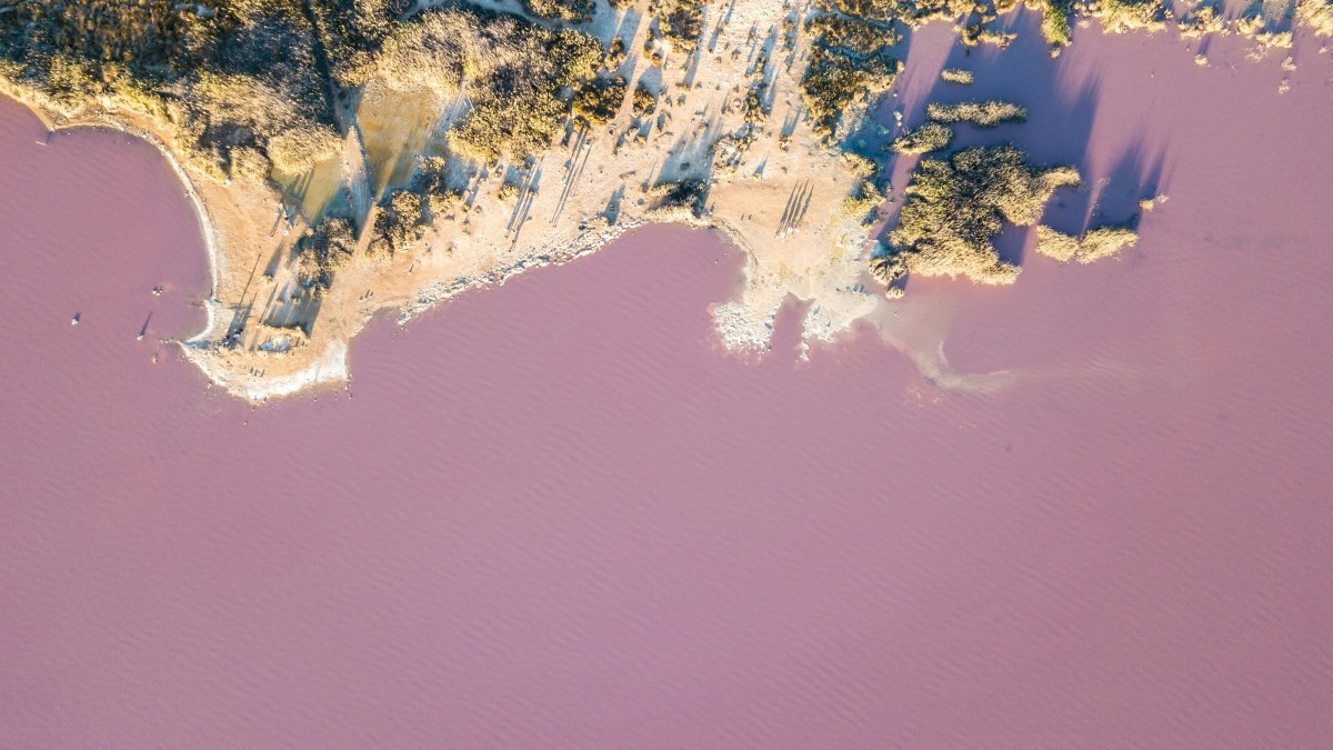 laguna rosa torrevieja