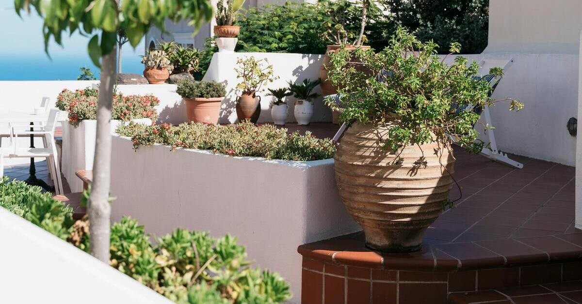 La scelta delle piante é fondamentale per un terrazzo mediterraneo La scelta delle piante é fondamentale per un terrazzo mediterraneo