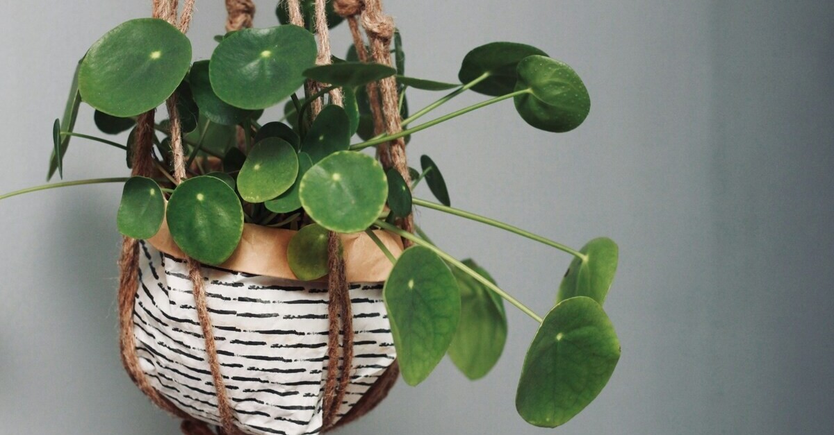 Coprivaso realizzato in stoffa