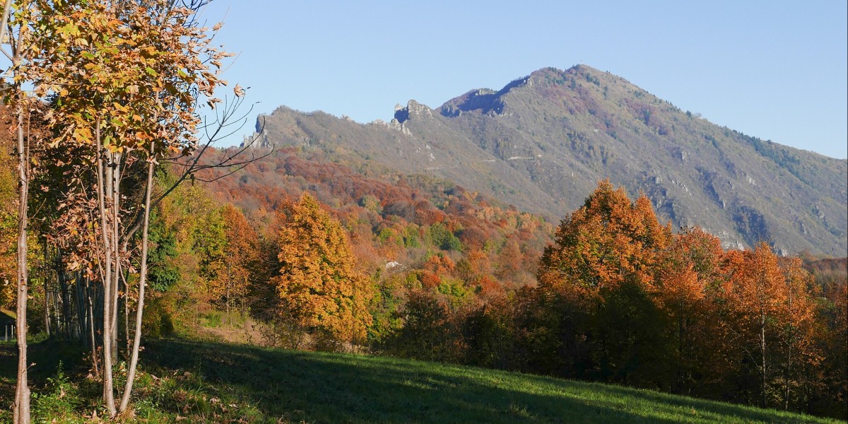cosa vedere a Lugo di Vicenza