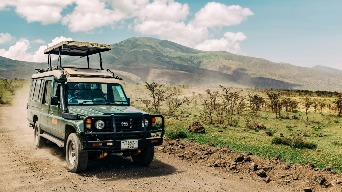 safari hopping