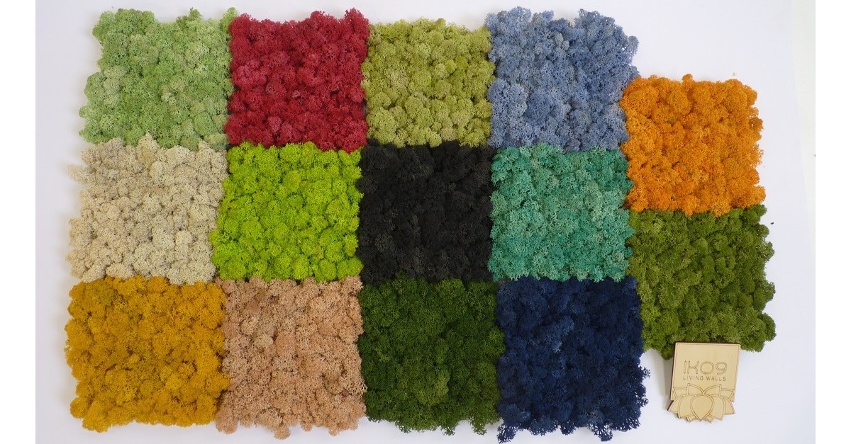 La grande varietà di colori disponibili del muschio stabilizzato convince molte persone a realizzare da soli delle decorazioni per interni