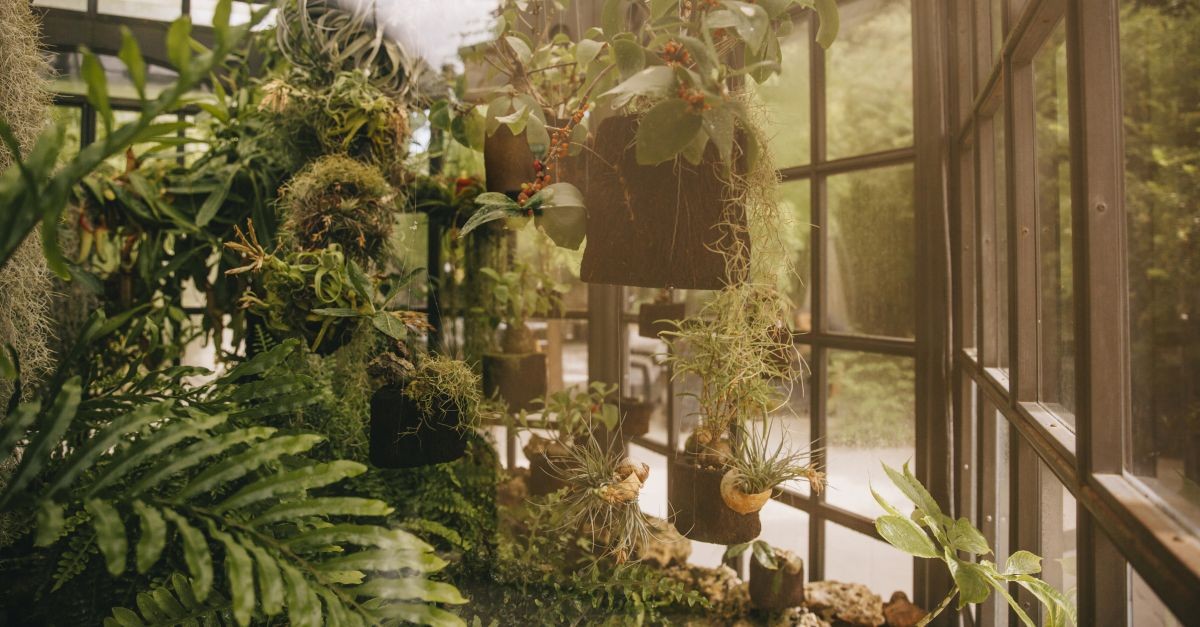 giardino di ispirazione industriale