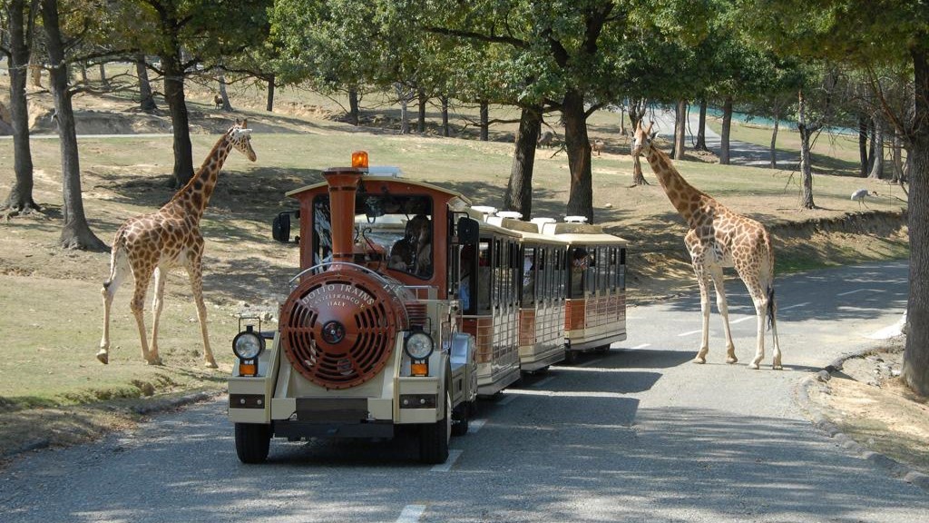 safari hopping