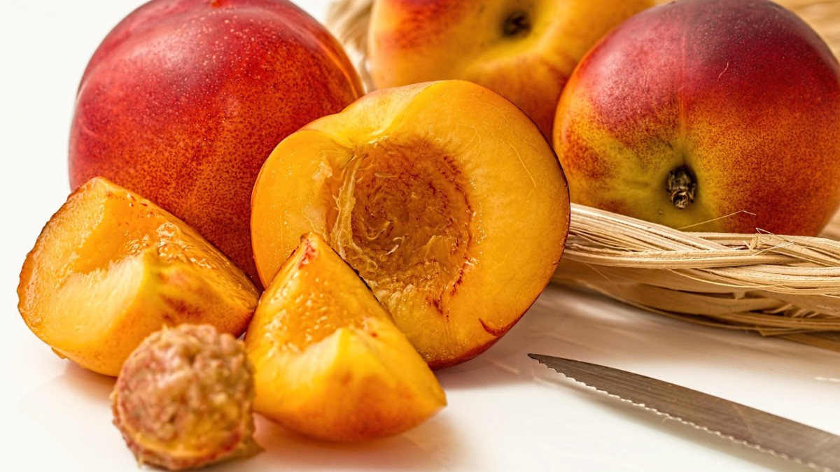 nocciolo della pesca