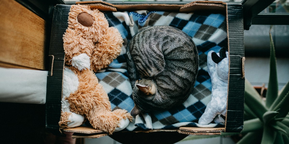 Cucce per gatti fai da te per esterno