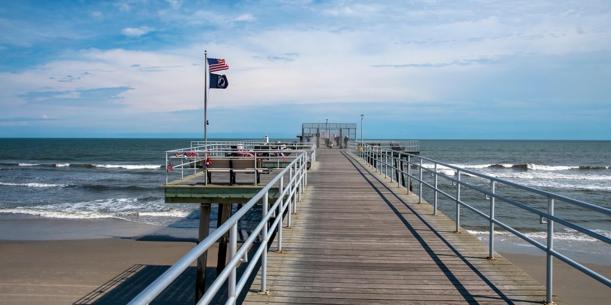 dove vive bruce springsteen