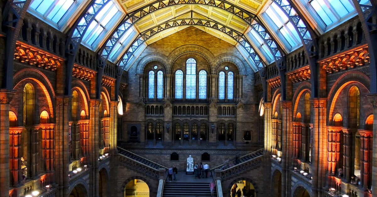 Il salone d'entrata del Museo di Storia Naturale a Londra Il salone d'entrata del Museo di Storia Naturale a Londra