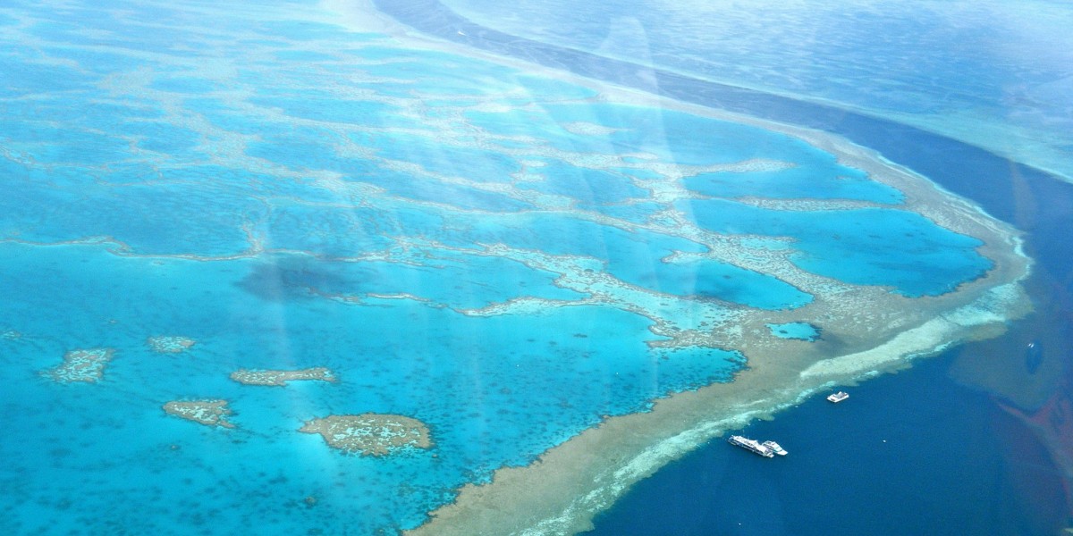 barriera corallina piu bella al mondo