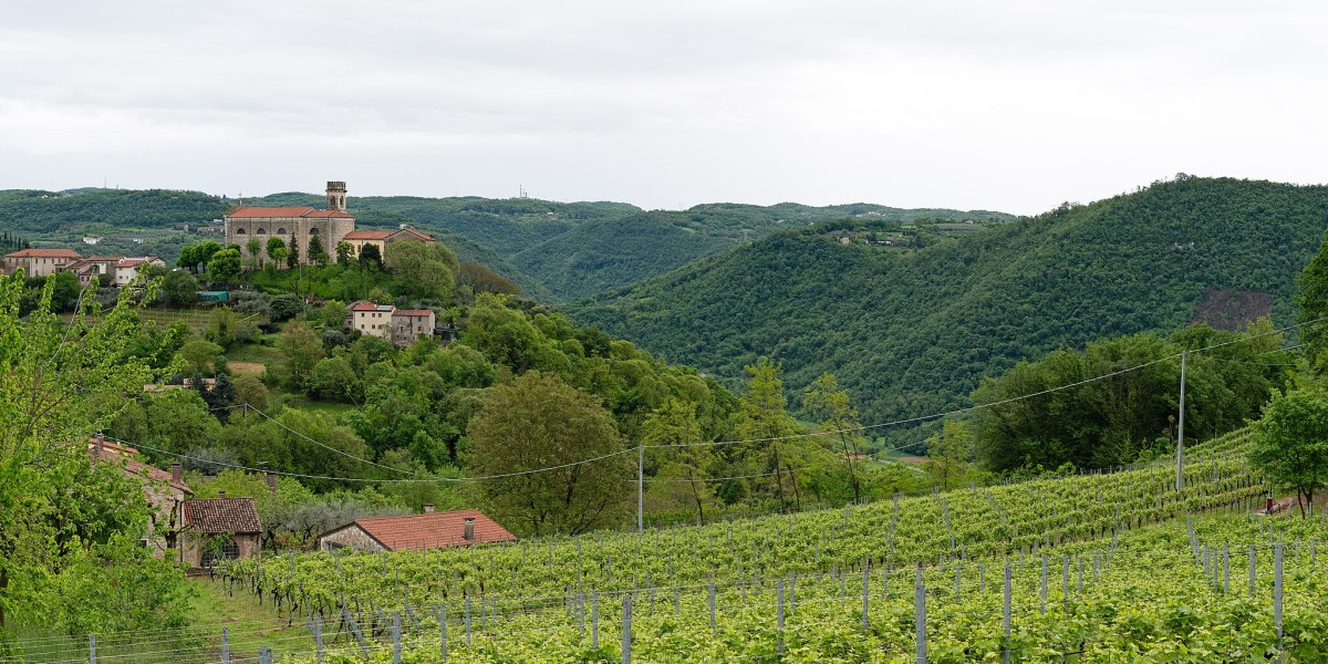 dove vive roberto baggio